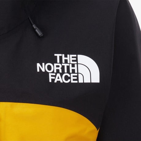 【SUMMIT SERIES】W SUMMIT MOUNTAIN GTX PRO JACKET GOLD YELLOW NJ2GS98A