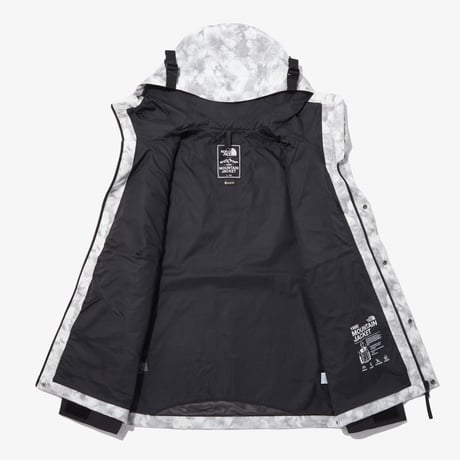 M'S GTX MOUNTAIN JACKET GRAY NJ2GP10A
