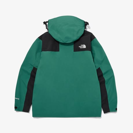 M'S GTX MOUNTAIN 3L JACKET CLASSIC GREEN NJ2GQ01A