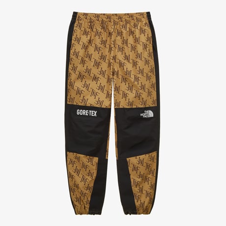 M GTX MOUNTAIN PANT BEIGE BROWN NP6GP50B
