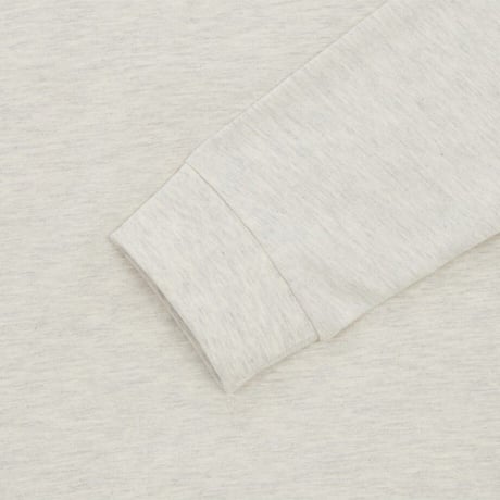 TNF CORE EX L/S R/TEE OATMEAL NT7TR59C