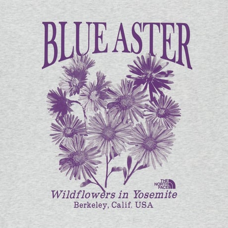 WILDFLOWER S/S R/TEE OATMEAL NT7US07L