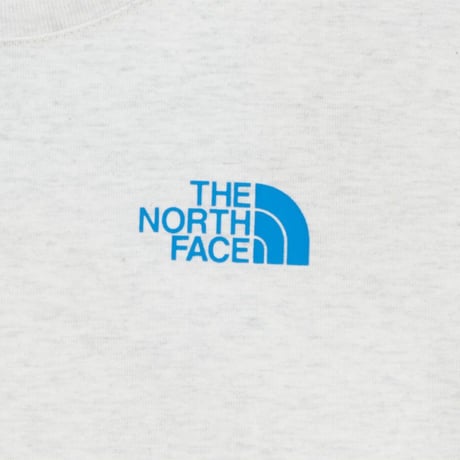 K'S HALF DOME S/S R/TEE HEATHER GRAY NT7UR03U
