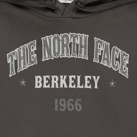 VINTAGE HOOD PULLOVER BROWN NM5PR53J