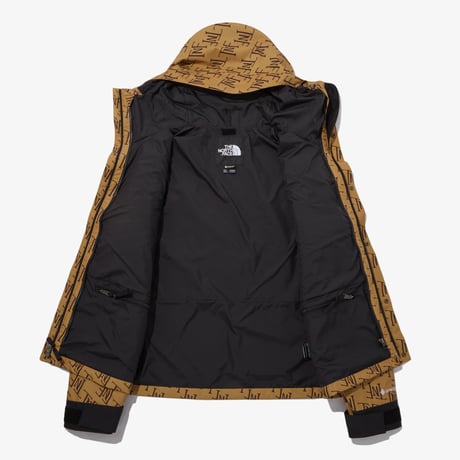 M'S GTX MOUNTAIN JACKET BEIGE BROWN NJ2GP70B