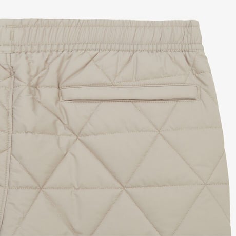 M'S GEODOME V PANTS LIGHT BEIGE NP6NQ55C