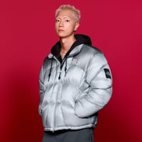 DURON DOWN JACKET (RDS) SILVER NJ1DR57K