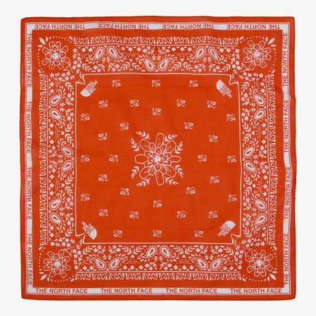 BANDANA_PAISLEY_80'S SPICY ORANGE NHA5BS370D