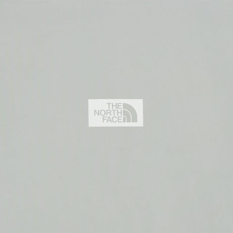 W'S FROST S/S R/TEE COOL GRAY NT7UR35C