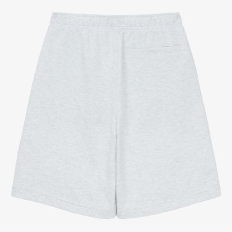 CORE SHORTS SILVER GRAY NS6KR00B