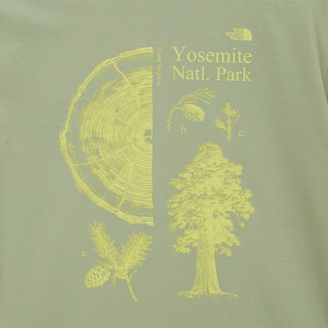 M'S SUMMERCAMP S/S R/TEE DUSTY OLIVE NT7US04C