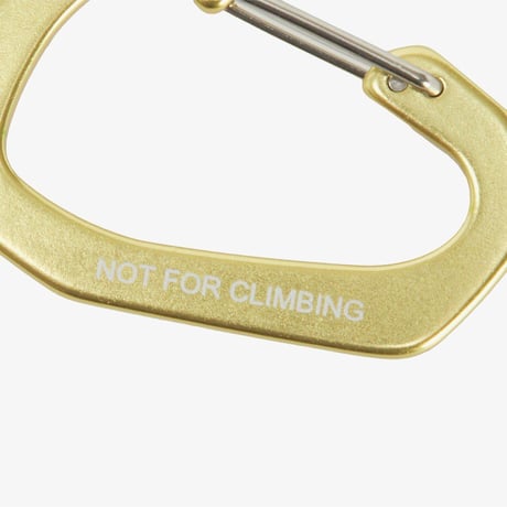 TNF CARABINER APPLE GREEN NA5MR01C