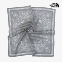 BANDANA_PAISLEY_80'S LIGHT KHAKI NHA5BS370C