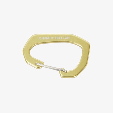 TNF CARABINER APPLE GREEN NA5MR01C