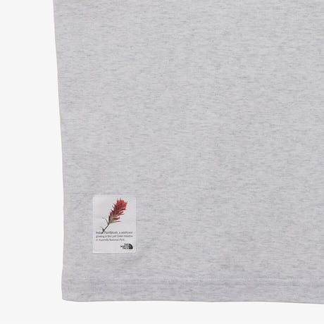 FLOWER SPRAY S/S R/TEE OATMEAL NT7UR09K