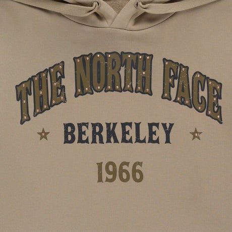 VINTAGE HOOD PULLOVER BEIGE NM5PR53K