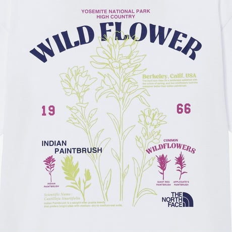 FLORAL S/S R/TEE WHITE NT7UR08K