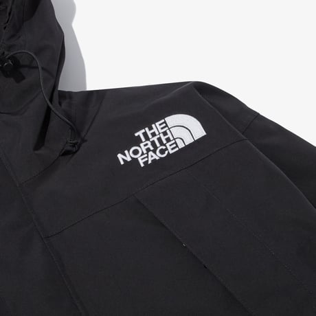 M GTX MOUNTAIN GUIDE INSULATED DOWN JACKET BLACK NJ2PP50A