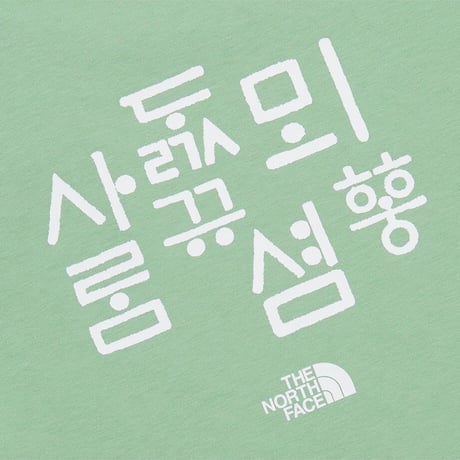 K'S TNF HANGEUL S/S R/TEE 2 PISTACHIO GREEN NT7UR29T