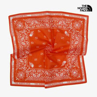BANDANA_PAISLEY_80'S SPICY ORANGE NHA5BS370D