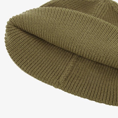 BIG LOGO BEANIE DRIED HERB NE3BR61A