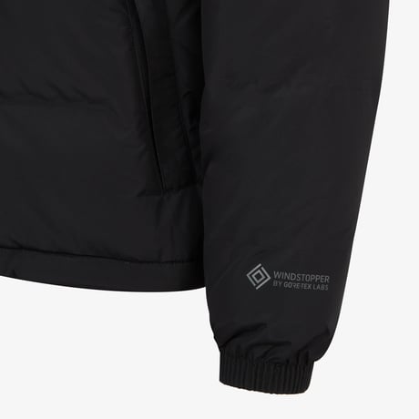 M'S GORE NUPTSE DOWN JACKET (RDS DOWN) BLACK NJ1DQ65A