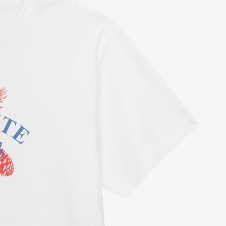 W'S DAYPINE S/S R/TEE WHITE NT7US33B