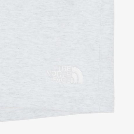 CORE SHORTS SILVER GRAY NS6KR00B