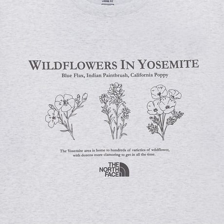 FLOWER EX S/S R/TEE OATMEAL NT7UR23M