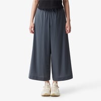 W'S ICECUBE PANTS METAL GRAY NP6NS40B