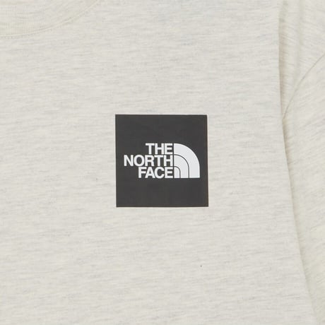 TNF CORE EX L/S R/TEE OATMEAL NT7TR59C