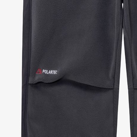 BANFF FLEECE PANTS GRAY NP6FQ50