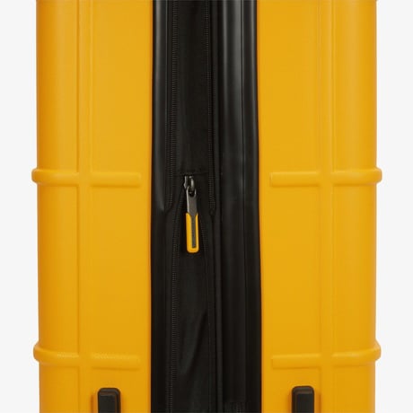 TNF NEW WHEELER 24 GOLD YELLOW NN2AS79D
