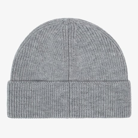 MINI LOGO BEANIE METAL GRAY NE3BS56A