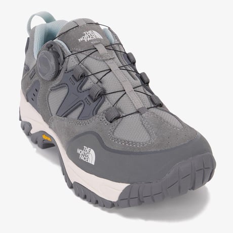 SIERRA BOA GTX GRAY NS91R02B