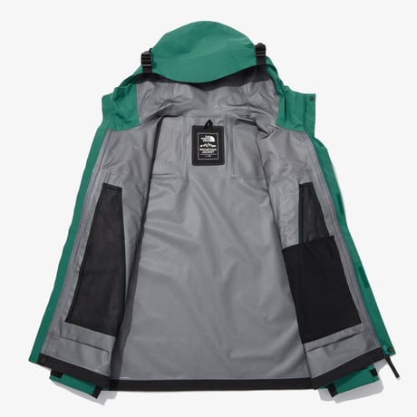 M'S GTX MOUNTAIN 3L JACKET CLASSIC GREEN NJ2GQ01A