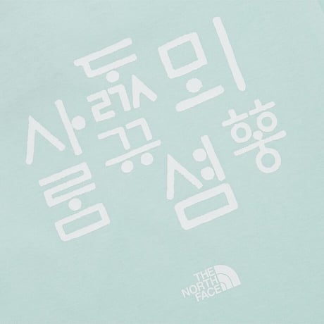W'S TNF HANGEUL S/S R/TEE MINT NT7UR42B