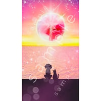『 cosmic energy series -一緒に見る夕日-part1 』スマートフォン用壁紙