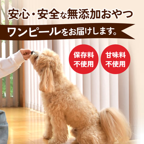 犬の無添加おやつ/ワンピール・お徳用サイズ300ｇ・ふりかけタイプ2Ｐ（ふりかけタイプ300ｇ☓2袋）