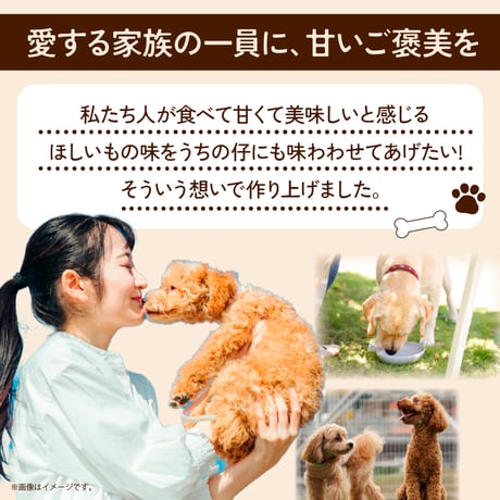 犬の無添加おやつ/ワンピール・レギュラーサイズ90ｇ・フレークタイプ2Ｐ（フレークタイプ90ｇ☓2袋）