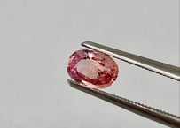 パパラチアサファイア  ルース  0.50ct Padparadscha Sapphire