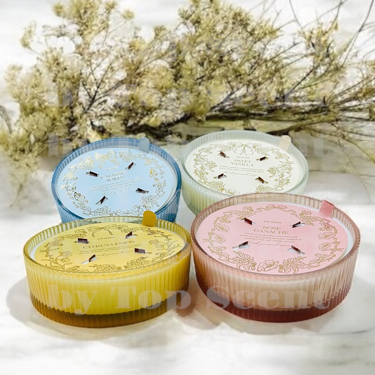 夢見るアロマキャンドル｜ココナッツミルクとバニラの優雅な余韻 | Top