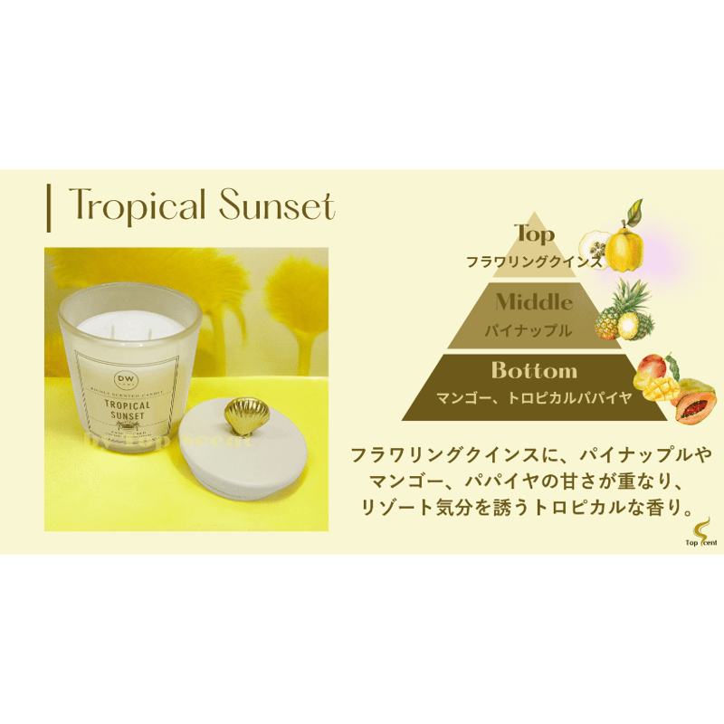 🥥ココナッツミルクミスト｜香りで味わう南国の午後 | Top Scent