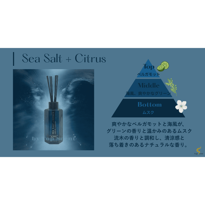 ノクターナルリーフコレクション｜夜と果実が香る静寂の空間 | Top Scent