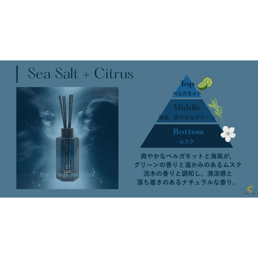 ノクターナルリーフコレクション｜夜と果実が香る静寂の空間 | Top Scent