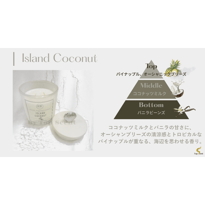 🥥ココナッツミルクミスト｜香りで味わう南国の午後 | Top Scent