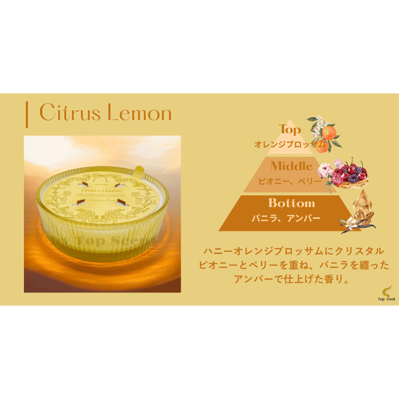 夢見るアロマキャンドル｜ココナッツミルクとバニラの優雅な余韻 | Top