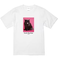 【Mr.Pink&Co.】Watts White Tshirt / Pink