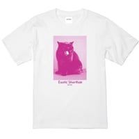 【Mr.PINK】Watts White Tshirt/Hot pink