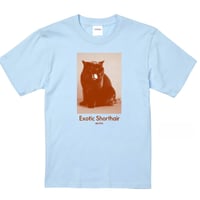 【Mr.Pink&Co.】Watts Light blue Tshirt/Brown
